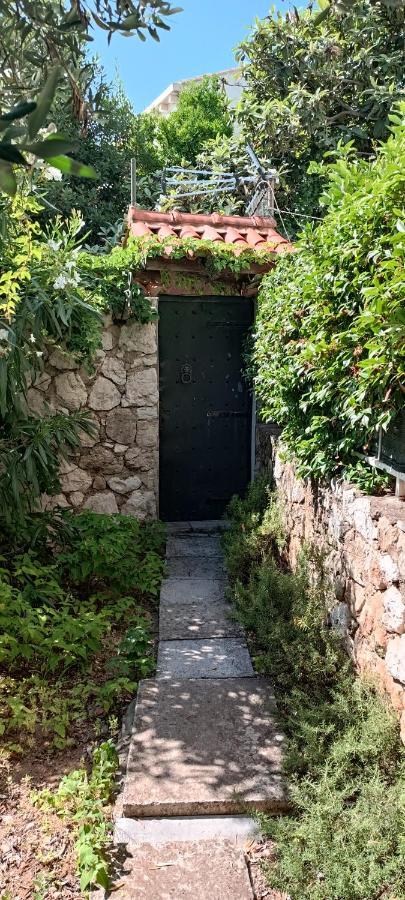 Opus Three * Dubrovnik